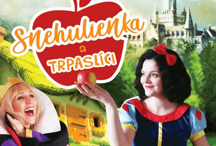 Obrázek